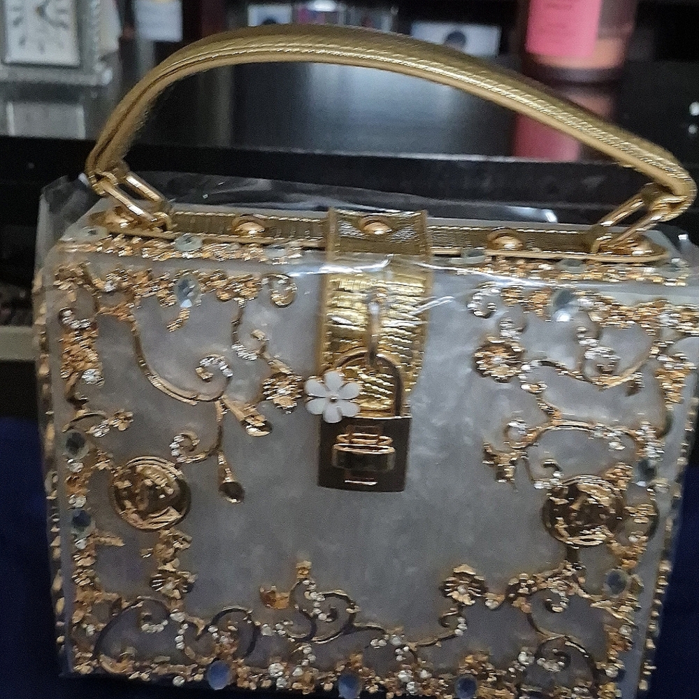 BNWOT Verano Hill acrylic box handbag.